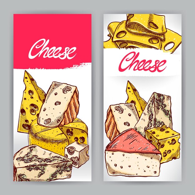 Vector two banners with various appetizing cheeses. hand-drawn illustration