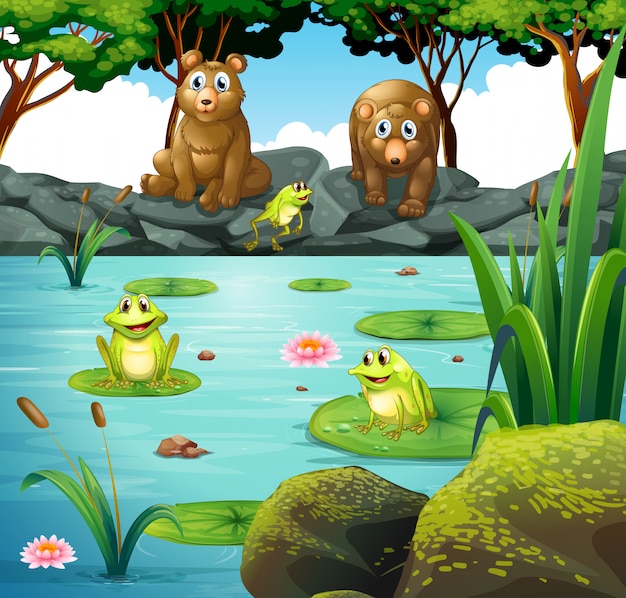 Vector two bears and three frogs at the pond