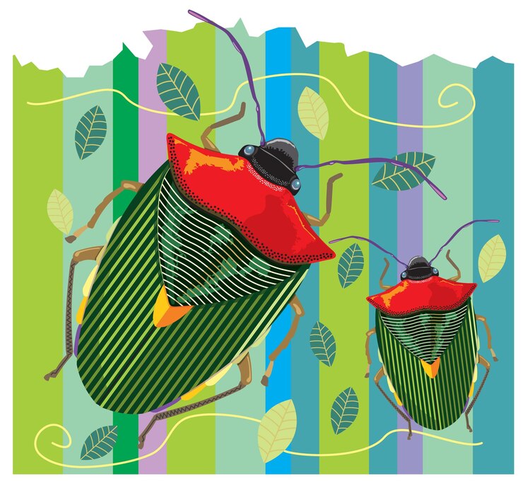 Vector two beetles on a striped background