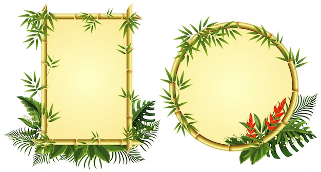 Vector two border templates with bamboo and flowers