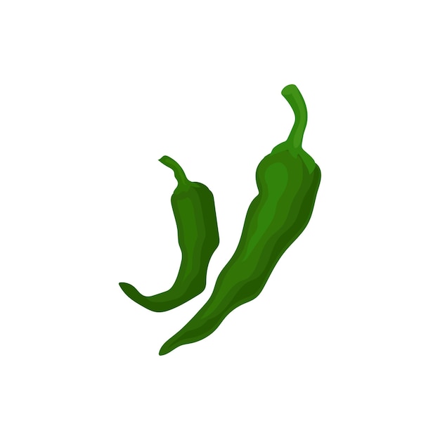 Two bright green chili peppers cooking ingredient natural and healthy food organic vegetable flat vector for poster of grocery store