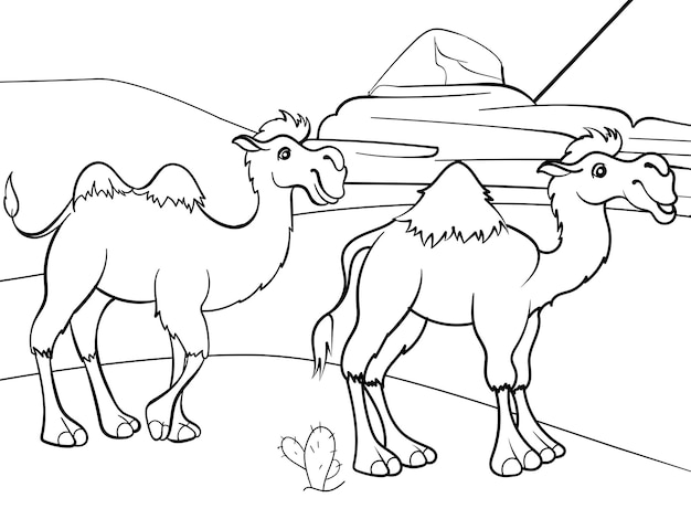 Two camels in the desert children coloring book animal