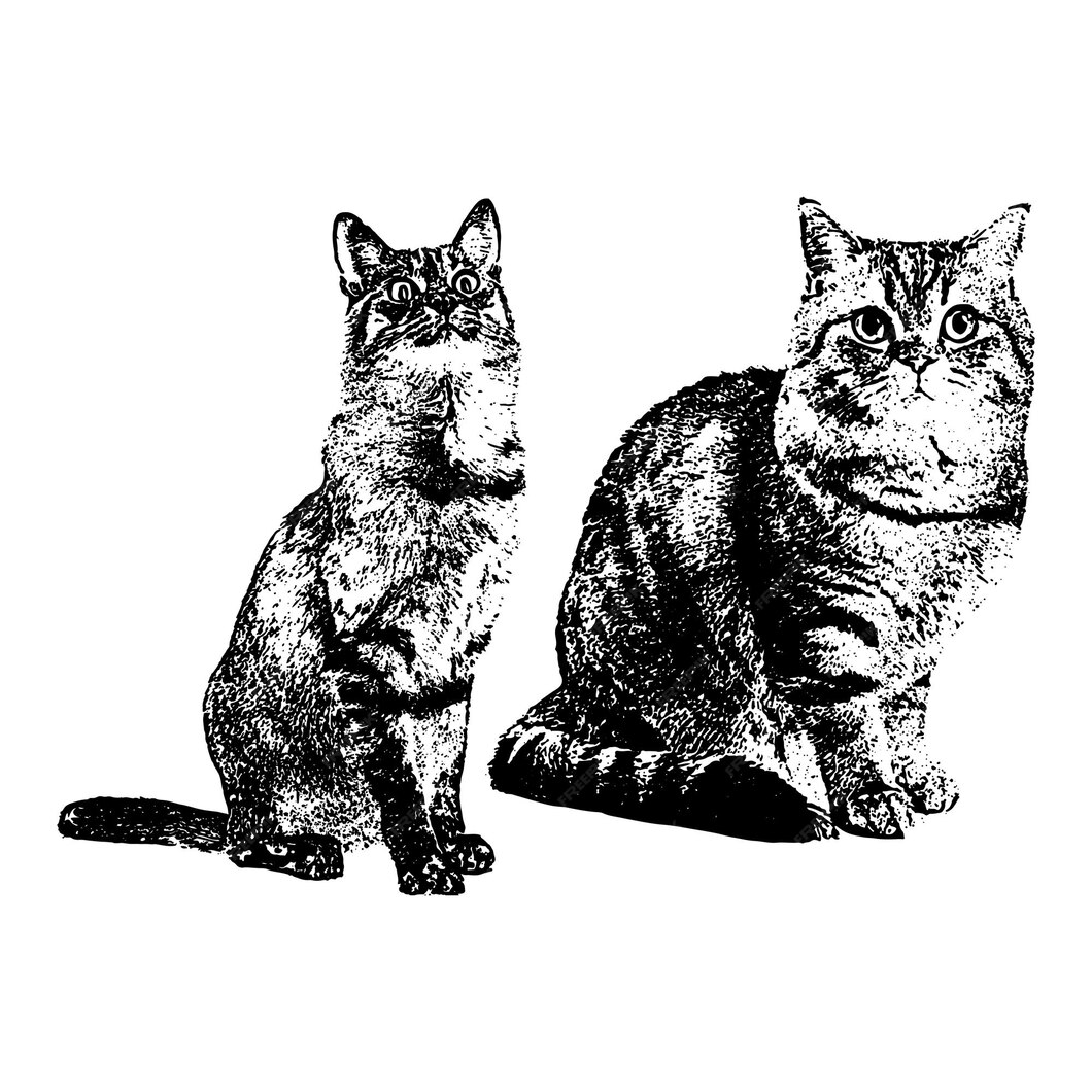 Premium Vector Two cat vintage drawings vector illustration 01