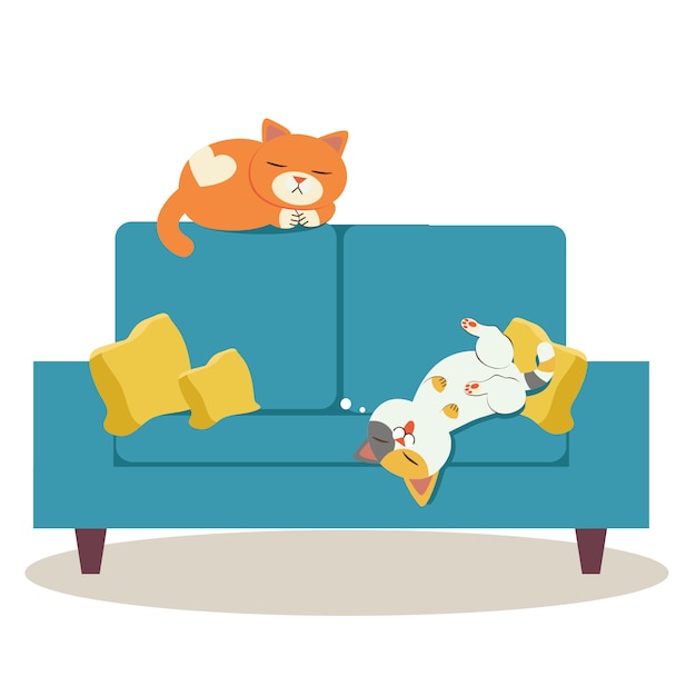 Cats top on sofa