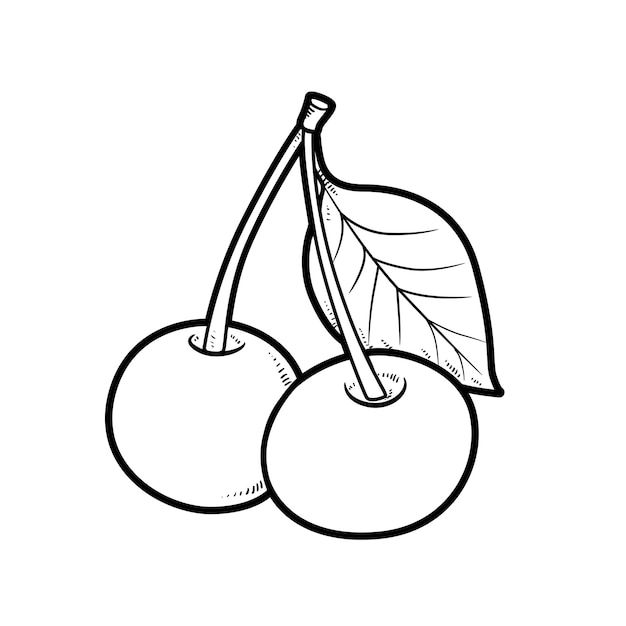 Two cherries on one stalk with leaf linear drawing on white background