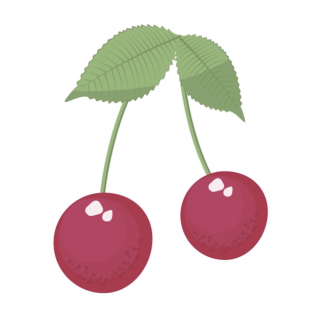 Two cherries with leaves colorful illustration