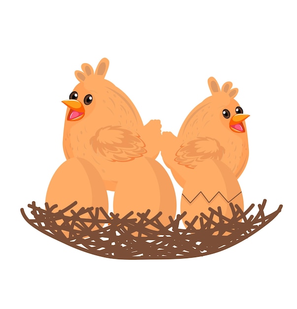 Vector two chickens in a nest with eggs on a white background.