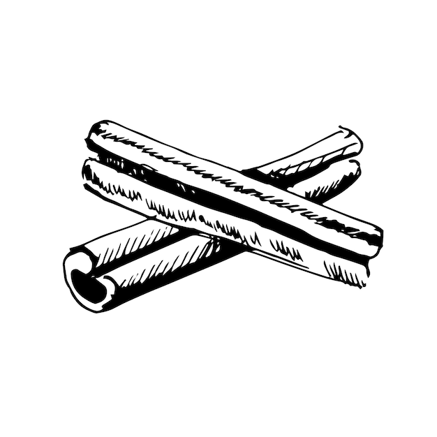 Two cinnamon sticks, hand drawn sketch, Vector illustration