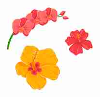 Vector two colorful tropical flowers red hibiscus and orangeyellow orchid floral design for summer graphics