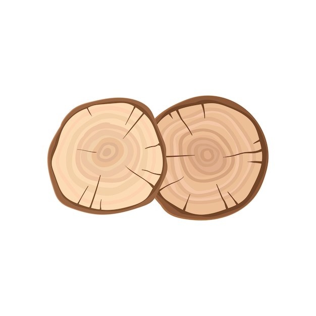 Two cross sections of tree trunks with annual growth rings Organic material natural texture Flat vector icon