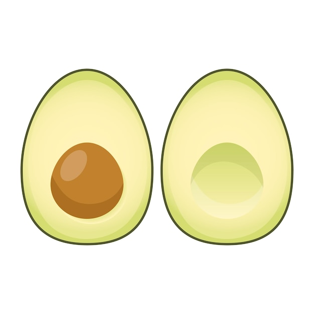 Vector two cut avocados with and without pits