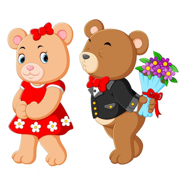 Two cute bears using the best costume