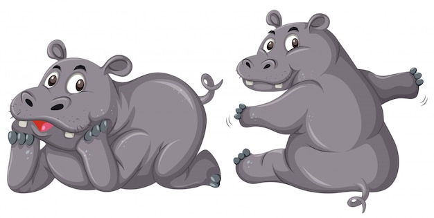 Two cute hippopotamus on white background