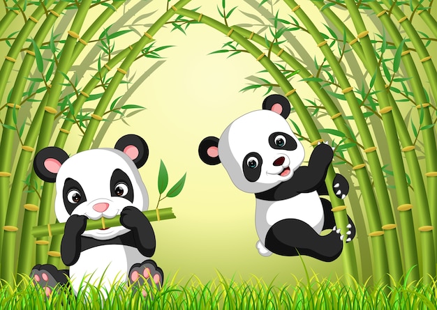 Two cute panda in a bamboo forest