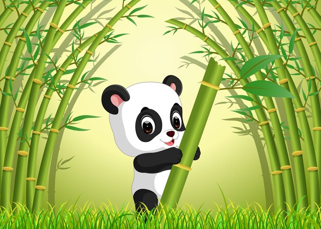 two cute panda in a bamboo forest