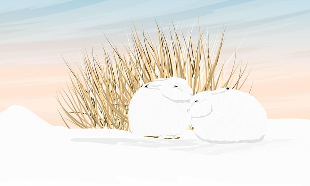 Vector two cute white polar hares are sitting in the snow near a dry bush wild animal of the arctic tundra
