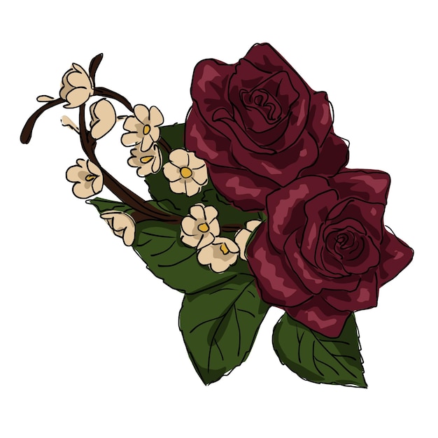 two dark red roses small yellow flowers large green leaves mule sketch on a white background