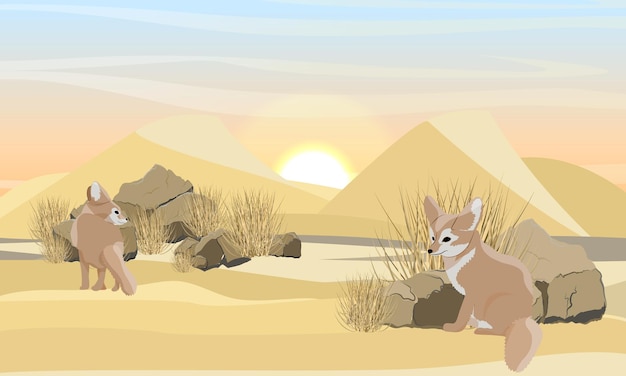 Vector two deserted fox fennec on the sand wildlife of north africa large desert with sand dunes