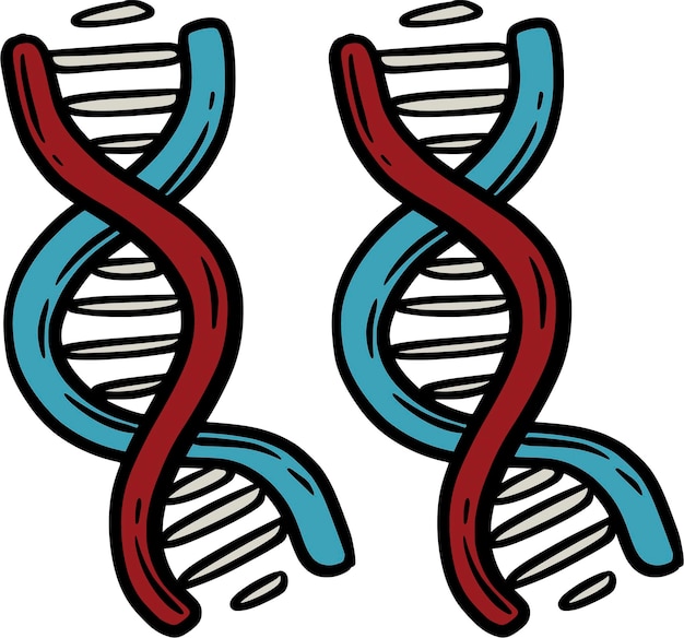 빨간색과 파란색 줄무를 가진 두 개의 이중 줄무 DNA