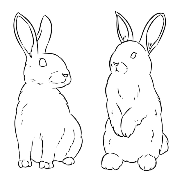 Two easter rabbits hand drawn sketch doodle