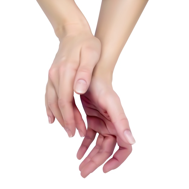 白い背景の上の2つのエレガントな女性の手は兆候を示しています