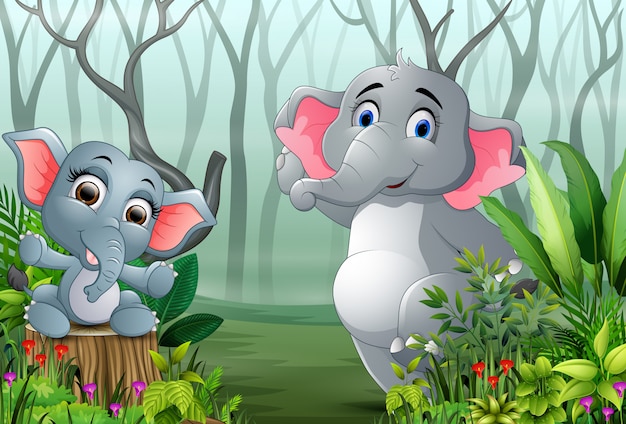 Two elephants in the forest with dry tree branches