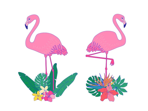 Vector two flamingos with flowers and leaves vector illustration of exotic birds