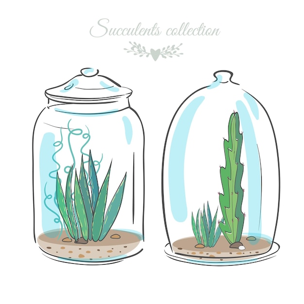 Two floral compositions with succulents in decorative bottles, vector illustration