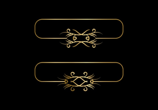 Two gold frames on a black background.