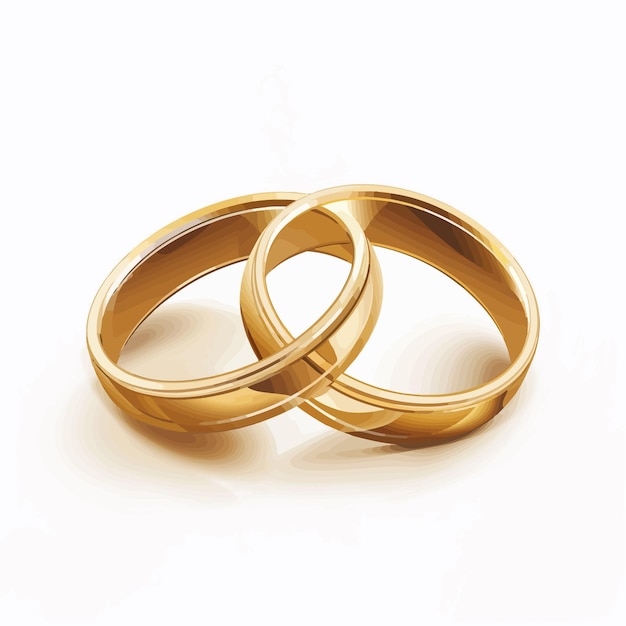 Vector two golden wedding rings are placed on a white background