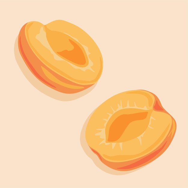 Two halves of a juicy apricot