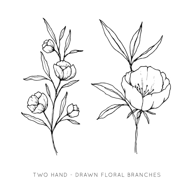 Two hand drawn floral branches