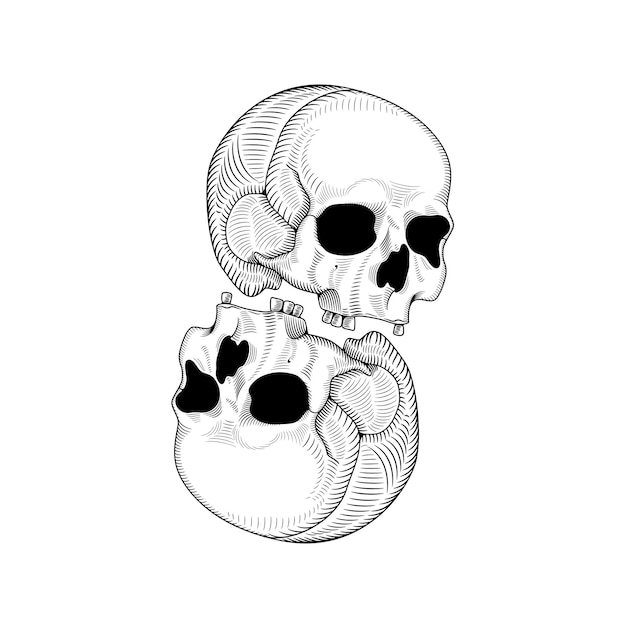 Illustrazione vettoriale di due teste di cranio su e giù