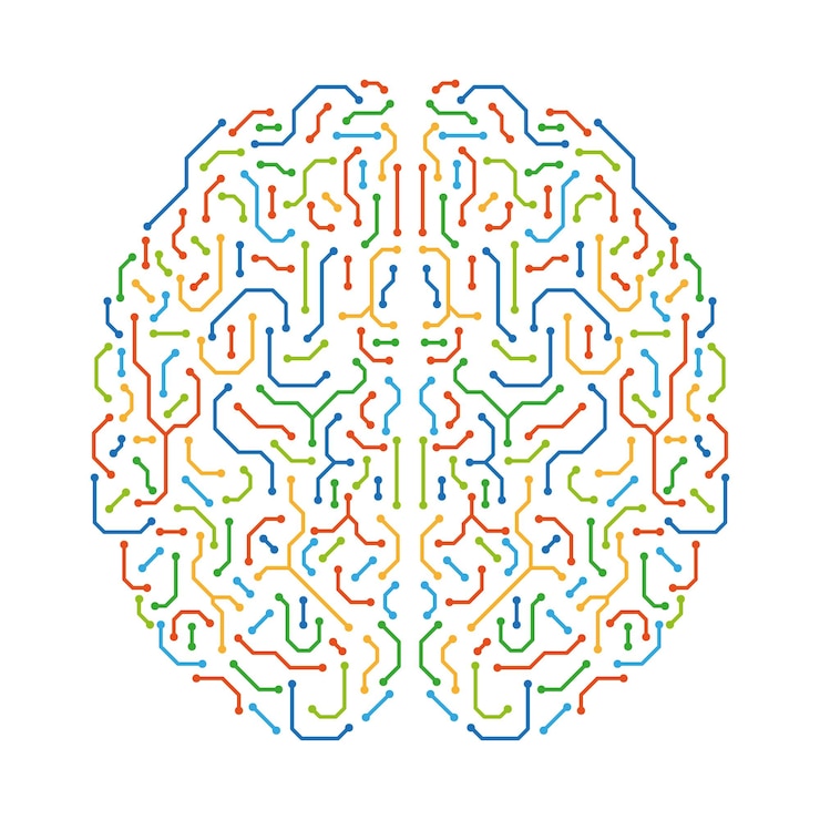Vector two hemispheres of the brain consisting of colored lines creativity thinking