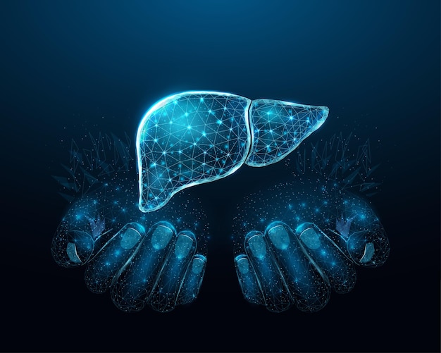 Two human hands are holds human liver Support healthy liver concept Wireframe glowing low poly design on dark blue background Abstract futuristic vector illustration