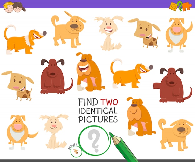 Two identical pictures educatief spel met honden