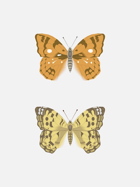 Vector two monarch butterfly illustrations