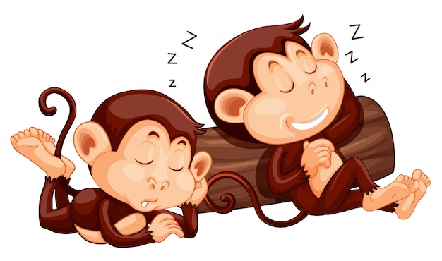 Vector two monkey sleeping at the log