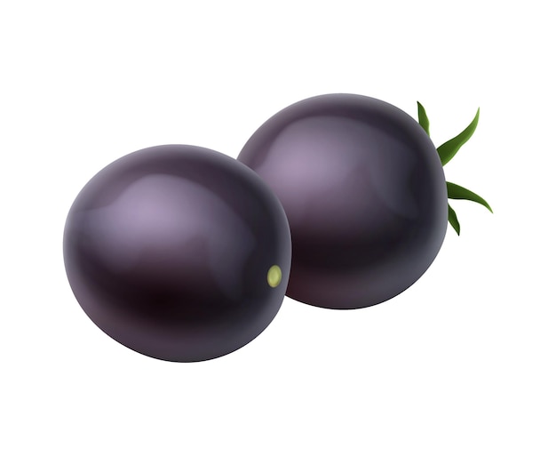 Vector two realistic black tomatoes with and without leaves vector illustration