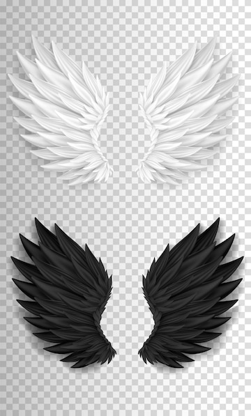 Premium Vector  3d black realistic devil wings isolated on transparent  background vector animal or angel wings