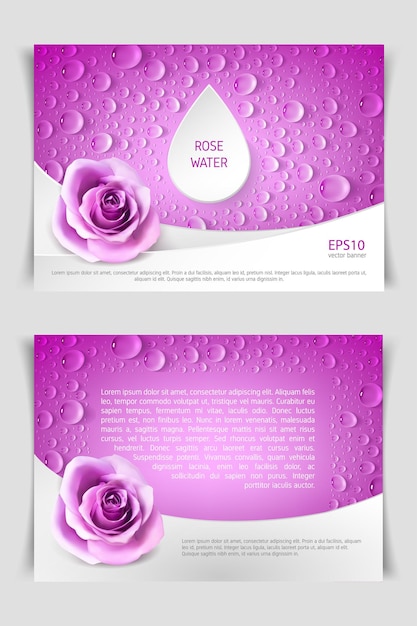 Vector two rectangular horizontal flyers with realistic roses and drops. template for advertising rose water.