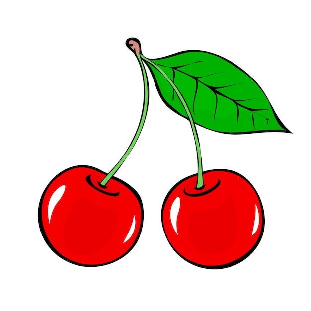 Two red berries cherry with a leaf