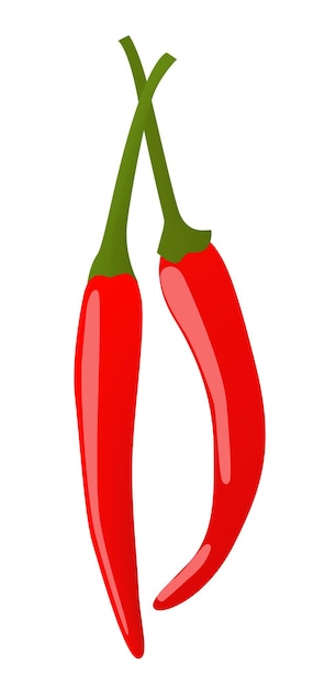 Two red peppers bird's eye chili Bird's eye chili Bird's chili or Thai Thai pepper