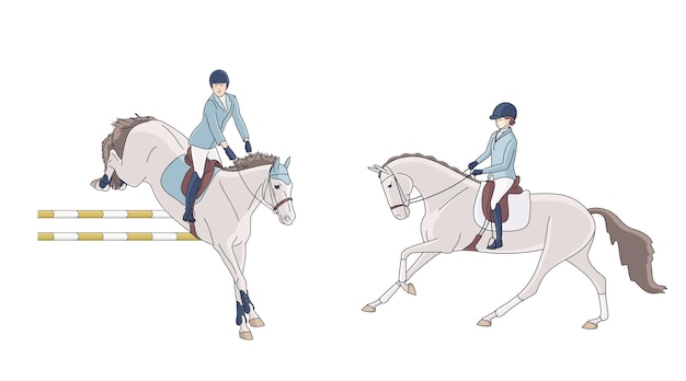 Vector two riders represent two areas of equestrian sports show jumping and dressage