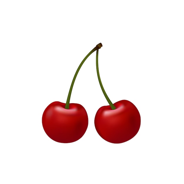 Two ripe cherries on a white background