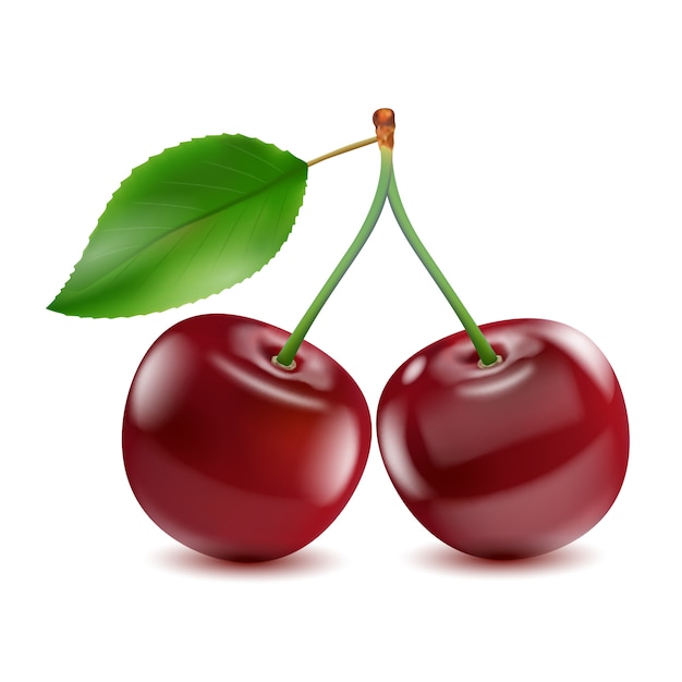 Two ripe red cherry berries with leaf