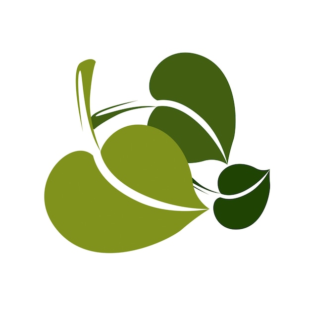 Two simple vector green deciduous tree leaves, stylized nature element. Ecology symbol, can be used in graphic design.