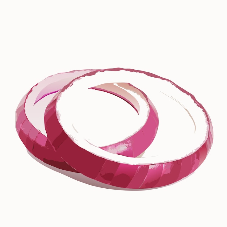 Vector two sliced red onion rings on a white background