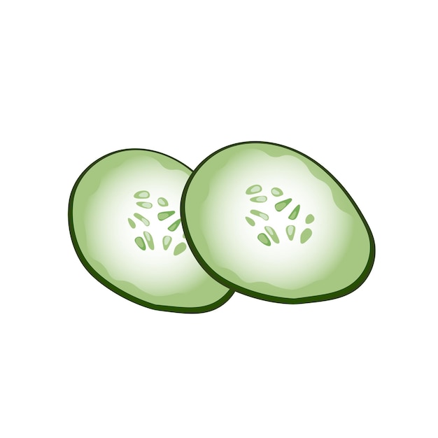 Two slices of cucumber, top view, Vector illustration