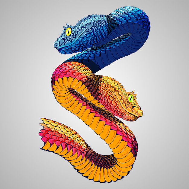 Two snakes illustration art vector